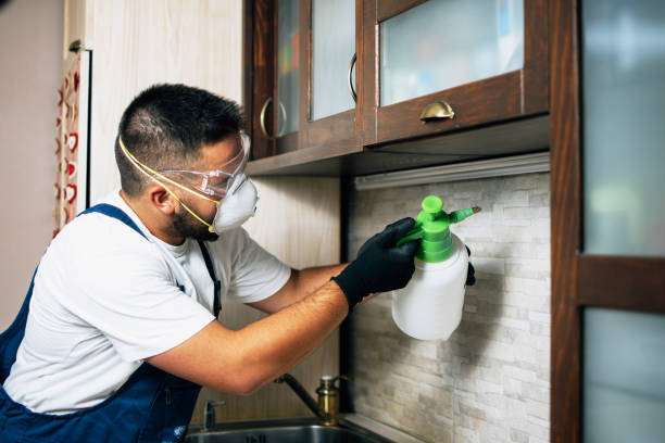 Alpha, NJ Pest Control Company