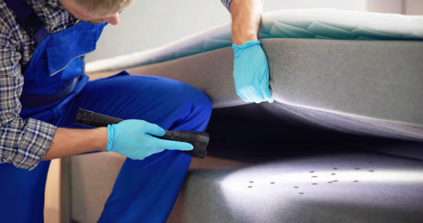 Best Wasp Removal Services  in Alpha, NJ