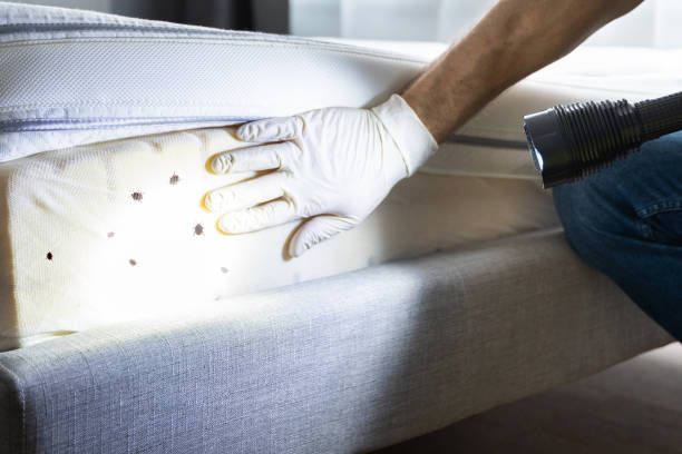 Pest Control Cost in Alpha, NJ