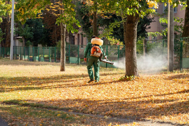 Best Flea Control Services  in Alpha, NJ