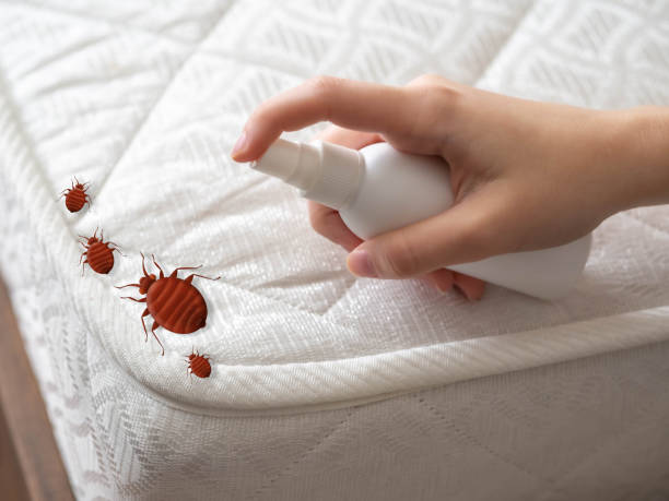 Best Pest Removal Services  in Alpha, NJ